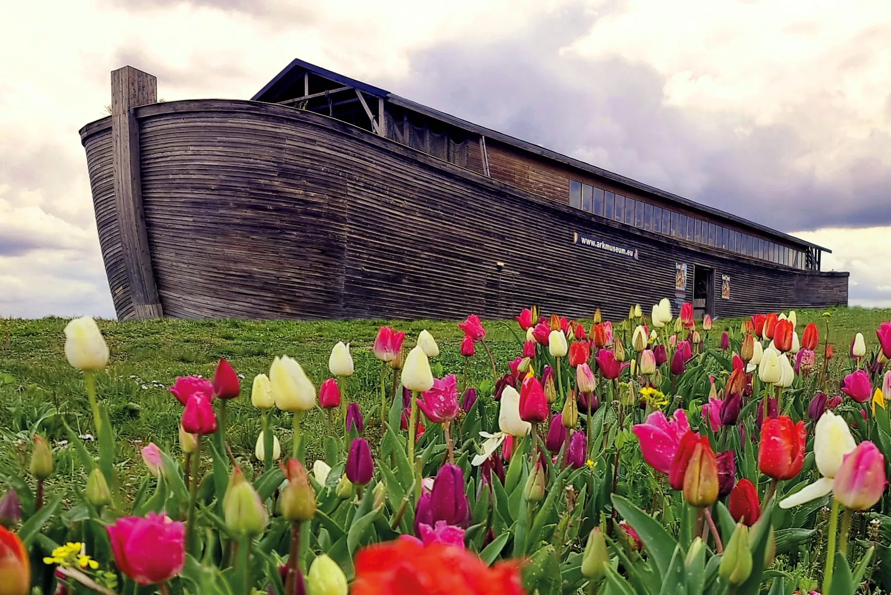 Noah’s Ark achter een veld met tulpen